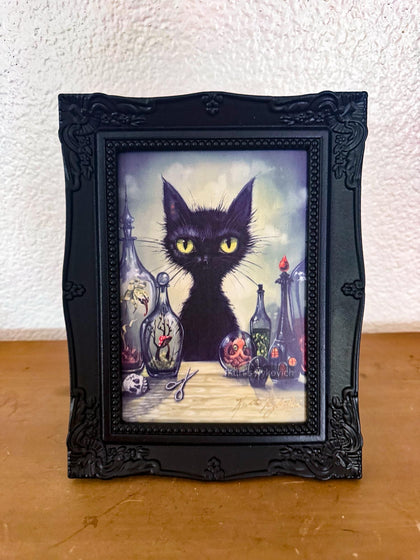 The Apprentice(signed and framed print) 5x7- Spring Cleaning treasure (Copy)