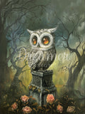 The Watcher Diamond Art Painting